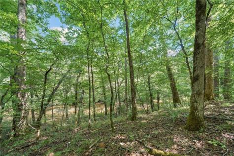 525 Etula Drive Dahlonega GA 30533
