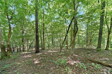 525 Etula Drive Dahlonega GA 30533