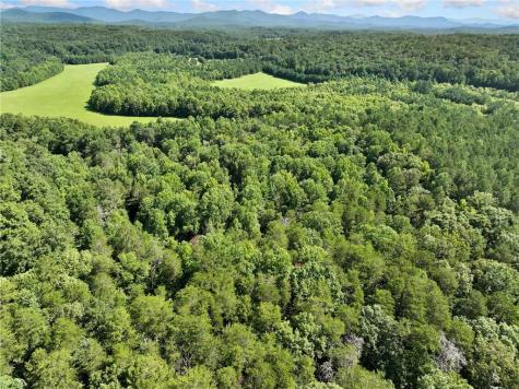 525 Etula Drive Dahlonega GA 30533