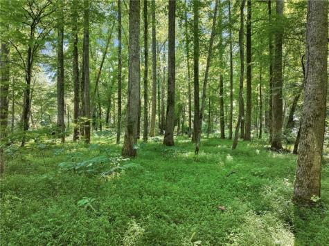 525 Etula Drive Dahlonega GA 30533