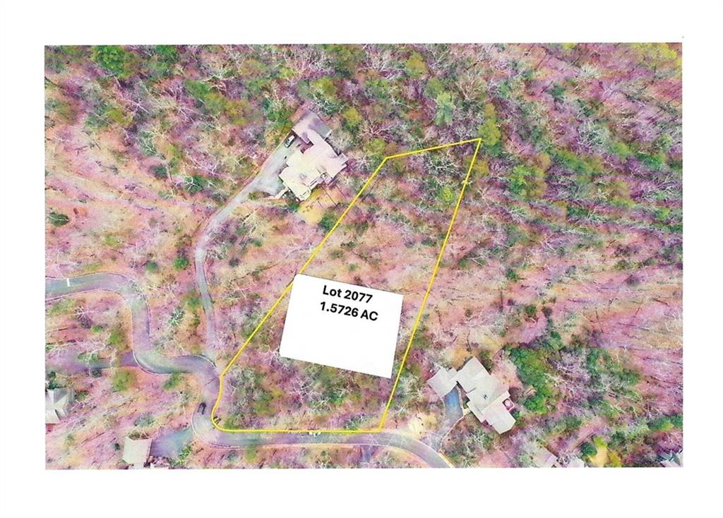 1183 Mcelroy Mountain Drive Big Canoe GA 30143