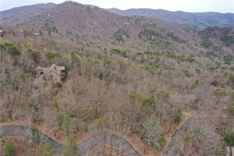 1183 Mcelroy Mountain Drive Big Canoe GA 30143