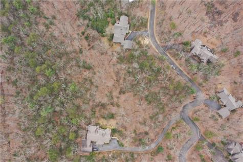 1183 Mcelroy Mountain Drive Big Canoe GA 30143