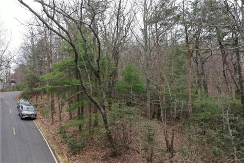 1183 Mcelroy Mountain Drive Big Canoe GA 30143