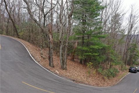 1183 Mcelroy Mountain Drive Big Canoe GA 30143