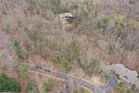 1183 Mcelroy Mountain Drive Big Canoe GA 30143