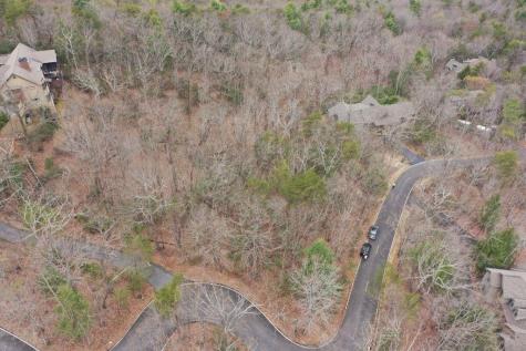 1183 Mcelroy Mountain Drive Big Canoe GA 30143