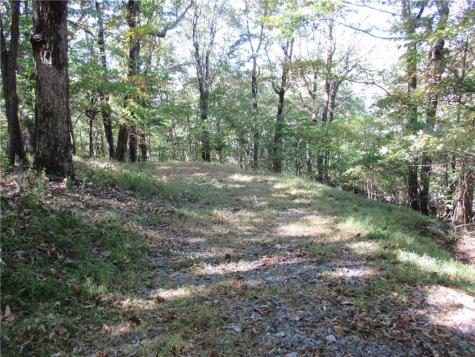 Lot 54 High Clifff Road Jasper GA 30143