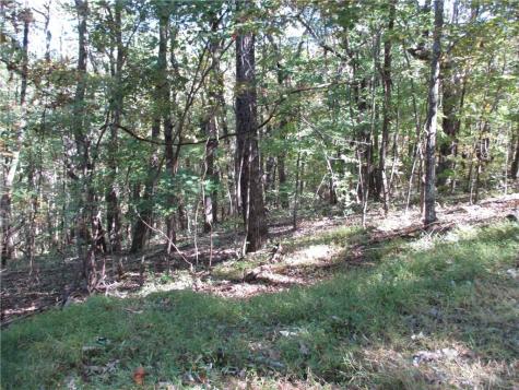 Lot 54 High Clifff Road Jasper GA 30143