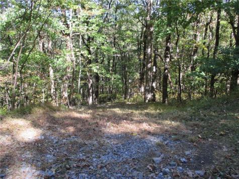 Lot 54 High Clifff Road Jasper GA 30143