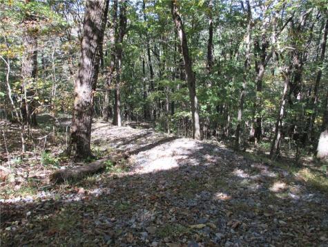 Lot 54 High Clifff Road Jasper GA 30143