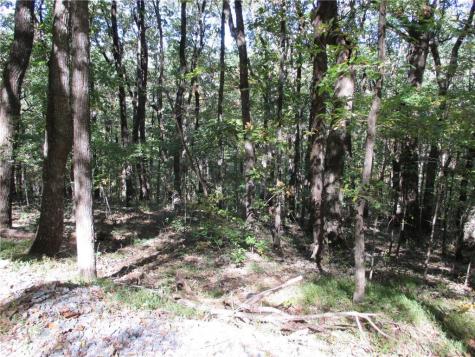 Lot 54 High Clifff Road Jasper GA 30143