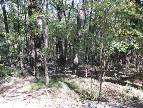 Lot 54 High Clifff Road Jasper GA 30143