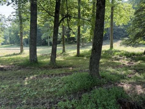 0 Lot 6 Clear Creek Preserve Way Ellijay GA 30536