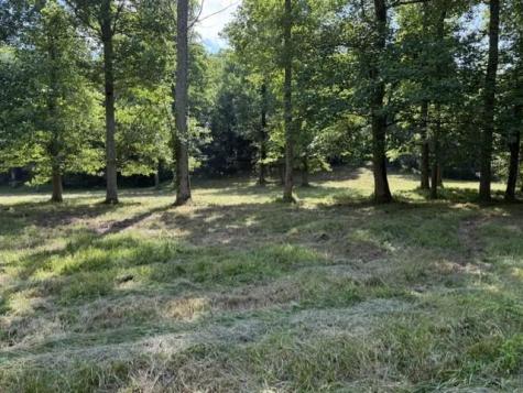 0 Lot 6 Clear Creek Preserve Way Ellijay GA 30536
