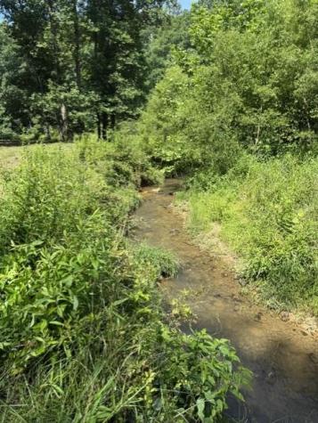 0 Lot 6 Clear Creek Preserve Way Ellijay GA 30536