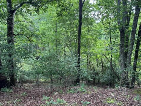3.5 Ac Ben Higgins Road Dahlonega GA 30533