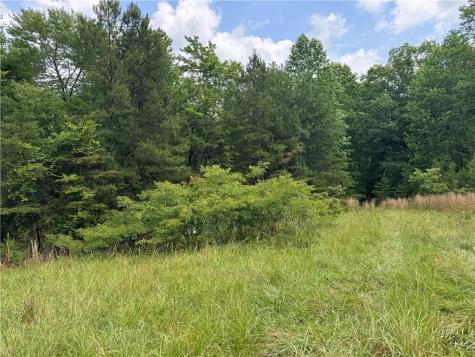 3.5 Ac Ben Higgins Road Dahlonega GA 30533