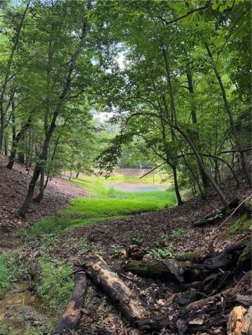 3.5 Ac Ben Higgins Road Dahlonega GA 30533