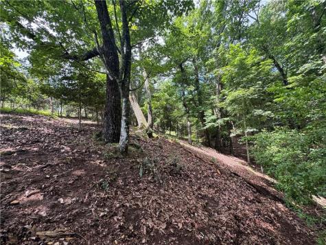 3.5 Ac Ben Higgins Road Dahlonega GA 30533