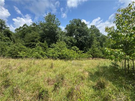 3.5 Ac Ben Higgins Road Dahlonega GA 30533