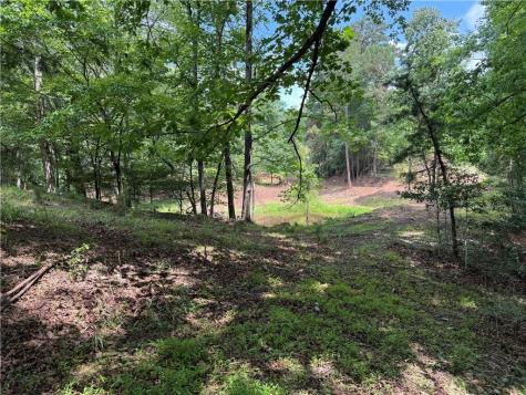 3.5 Ac Ben Higgins Road Dahlonega GA 30533