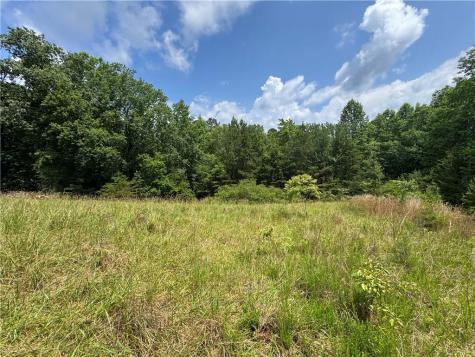 3.5 Ac Ben Higgins Road Dahlonega GA 30533