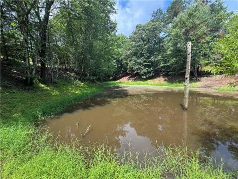 3.5 Ac Ben Higgins Road Dahlonega GA 30533