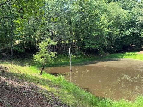 3.5 Ac Ben Higgins Road Dahlonega GA 30533
