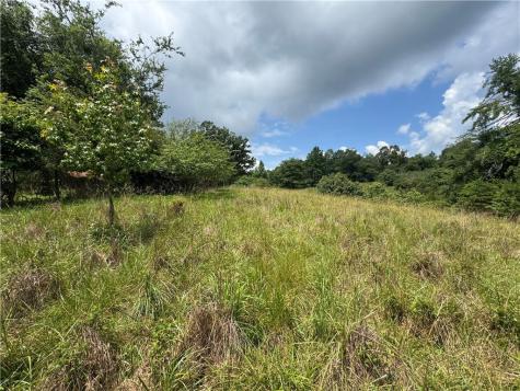 3.5 Ac Ben Higgins Road Dahlonega GA 30533