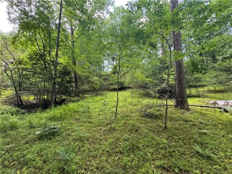 3.5 Ac Ben Higgins Road Dahlonega GA 30533