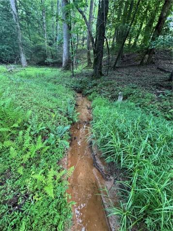 3.5 Ac Ben Higgins Road Dahlonega GA 30533