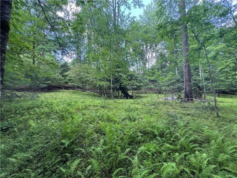 3.5 Ac Ben Higgins Road Dahlonega GA 30533