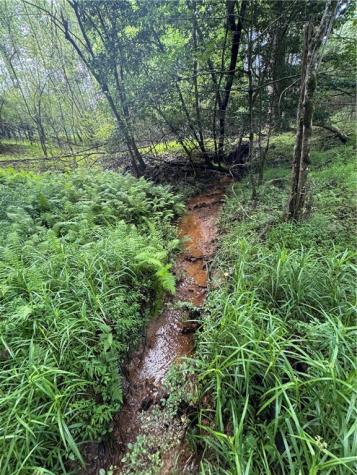 3.5 Ac Ben Higgins Road Dahlonega GA 30533