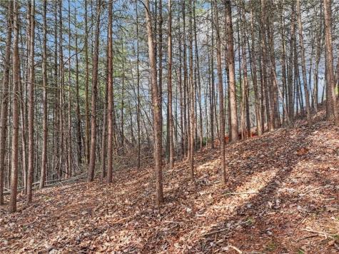 Lot 30 Crown Mountain Way Dahlonega GA 30533