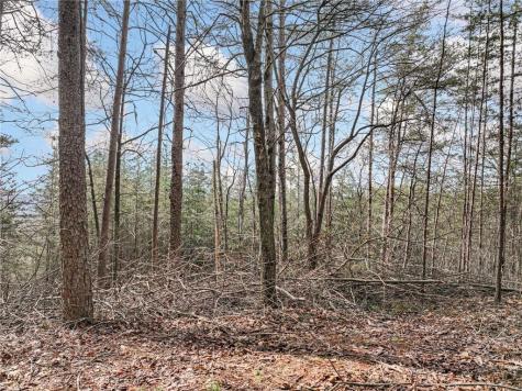 Lot 30 Crown Mountain Way Dahlonega GA 30533