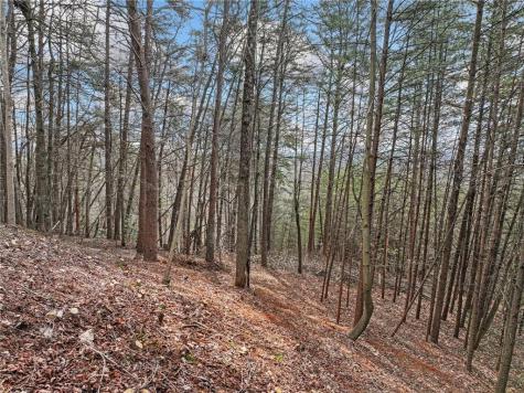 Lot 30 Crown Mountain Way Dahlonega GA 30533