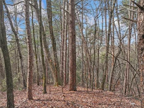 Lot 30 Crown Mountain Way Dahlonega GA 30533