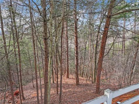 Lot 30 Crown Mountain Way Dahlonega GA 30533