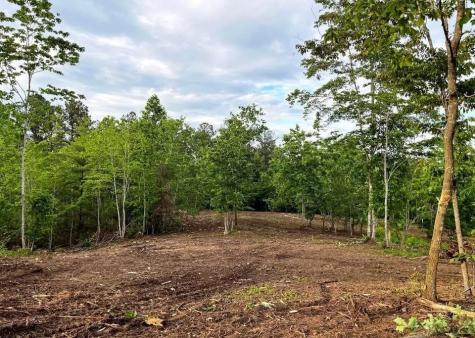 6480 Highway 52 W Dahlonega GA 30533