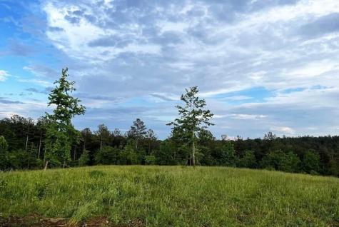6480 Highway 52 W Dahlonega GA 30533