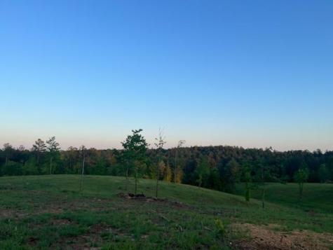 6480 Highway 52 W Dahlonega GA 30533