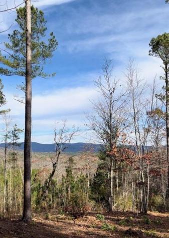 6480 Highway 52 W Dahlonega GA 30533