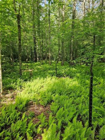 6480 Highway 52 W Dahlonega GA 30533