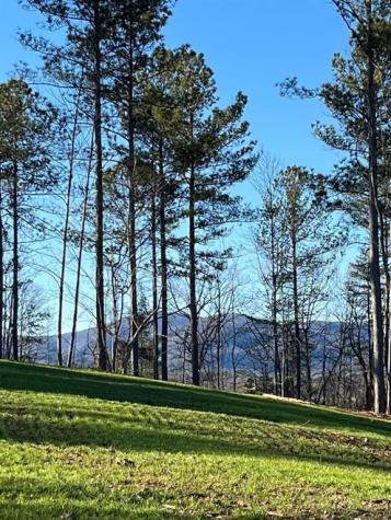 6480 Highway 52 W Dahlonega GA 30533