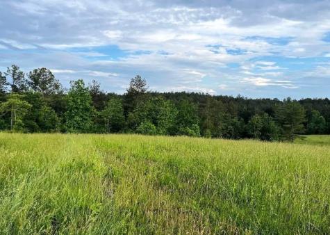 6480 Highway 52 W Dahlonega GA 30533