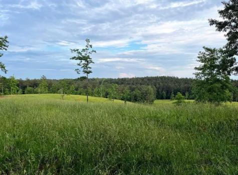 6480 Highway 52 W Dahlonega GA 30533