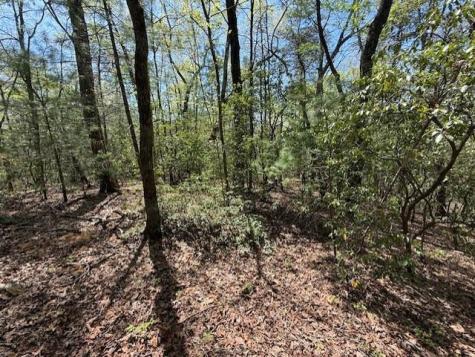 Lot 9 Marjorie Ellijay GA 30536