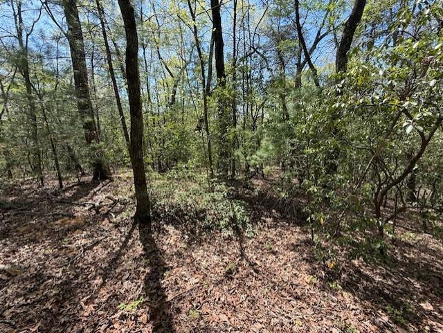 Lot 9 Marjorie Ellijay GA 30536