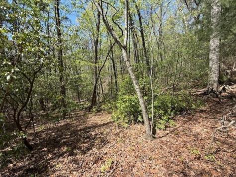 Lot 9 Marjorie Ellijay GA 30536